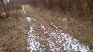 Поиск рогов лося.