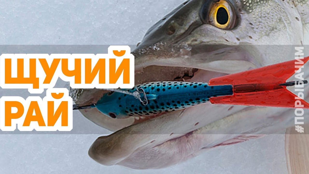 Река полная щуки. Ловим щуку со льда на балансиры. Окуня на безмотылку смотреть онлайн