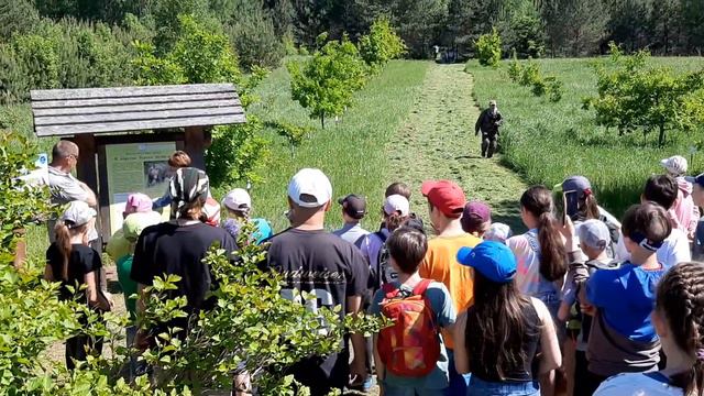 как выглядит экологическая тропа в царство бурого медведя , национальный парк Смоленского поозерья