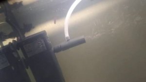 Обзор на мой аквариум 50 л.