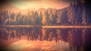 Истории из жизни. Давай жить у родственников, у них же бесплатно, Жизненные истории. Аудио рассказы