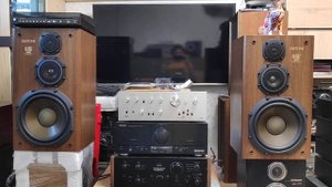 Pioneer SA-8900 + Diatone 66z