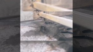 Пано Лев 620х620х2