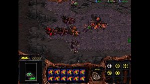 StarCraft-BroodWar (Original P2 Zerg) 3 THE NEW DOMINION