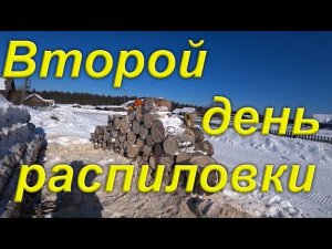 Грею автомобиль предпусковым подогревателем. Второй день распиловки дров китайской копией STIHL 250