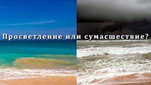 Просветление или сумасшествие?