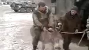 386 ОБВВ 46 ОБрОН