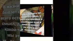 мои мысли летят
