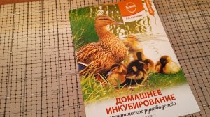 Инкубатор Матрица Вегас на 90 яиц. Обзор.