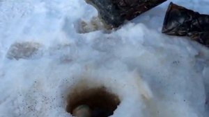 ловля крупного окуня в ХМАО спецы :)