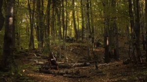 VideoPlayBack_cover С МОРРОВИНДА