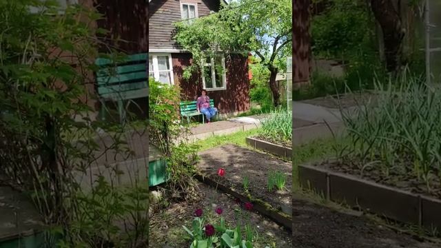 Дача. Татьяна смотреть онлайн