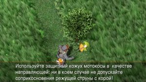 Как обкосить вокруг деревьев