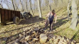 Заготовка дров на зиму