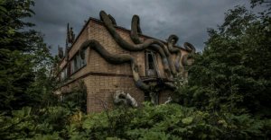 стрим вопрос ответ