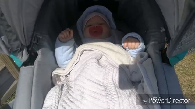 ДОМА/НАГЕТСЫ/ПИЦЦА/ЗЕЛЕНЬ С ПОДОКОННИКА/ПРИВЕЗЛИ ЕЩЕ МЕТАЛЛ