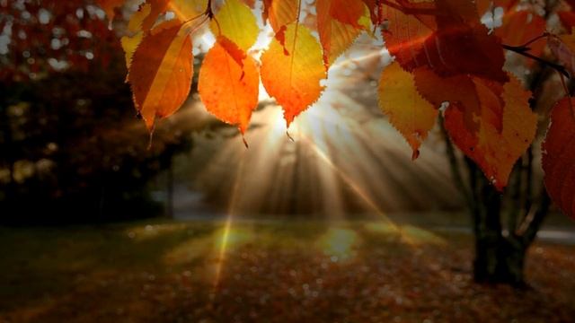 Осенний Вальс (Фредерик Шопен) смотреть онлайн