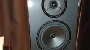 REGA system one
