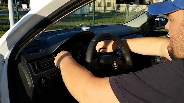 Я ЗНАЮ ЧТО СКРИПИТ В ТВОЕЙ SKODA. сверчки в салоне шкоды рапид. смотреть онлайн