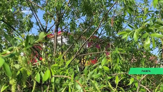 Социокультурный центр в Пажге достроят в этом году. Объект возводят по нацпроекту «Культура».