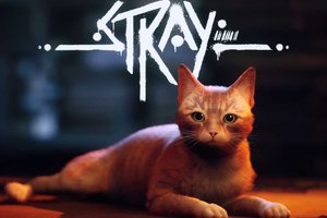 Перенос прогресса в игре Stray между клубными аккаунтами