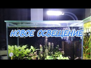 НОВОЕ ОСВЕЩЕНИЕ