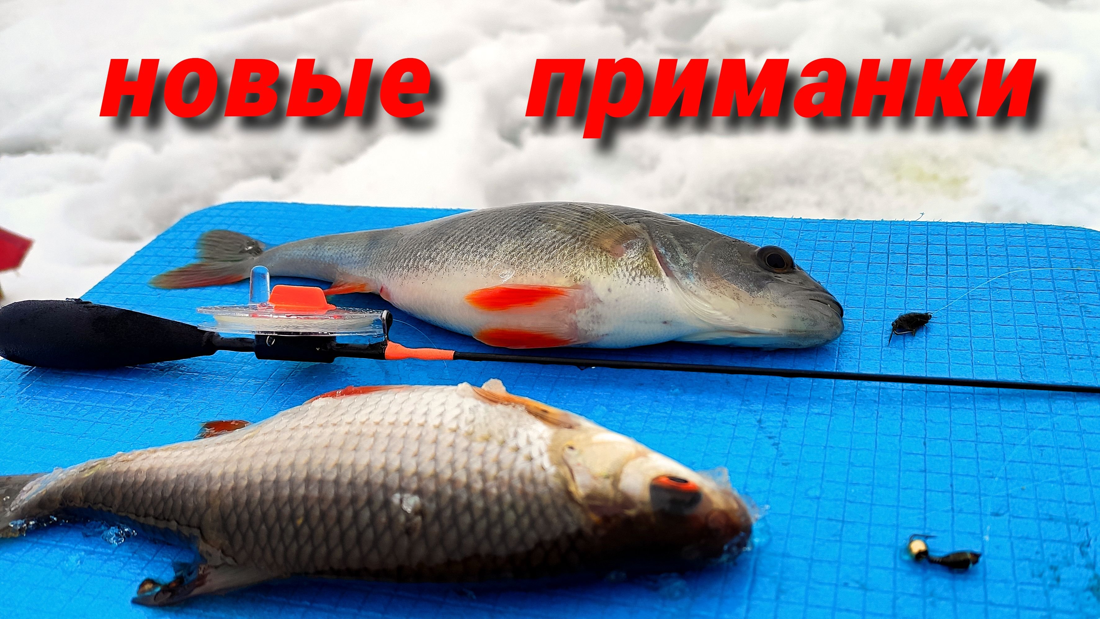 ЭТИ ПРИМАНКИ РЕАЛЬНО ЛОВЯТ. ПЛОТВА на НИМФОШАРИК. ОКУНЬ на МУХОМОРМЫША.  Рыбалка на Рузе.