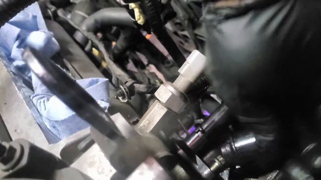 2012-2014 Ford Focus Water Pump and Thermostat Removal смотреть онлайн