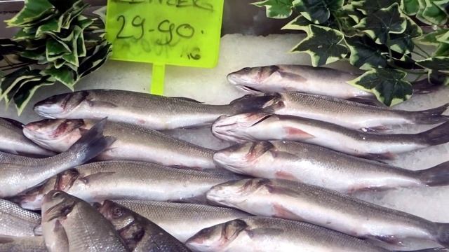 Где купить САМУЮ ДЕШЕВУЮ свежую рыбу ALANYA Сибас и дорадо Цены