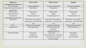 Общая характеристика растений, животных и грибов (5 класс)