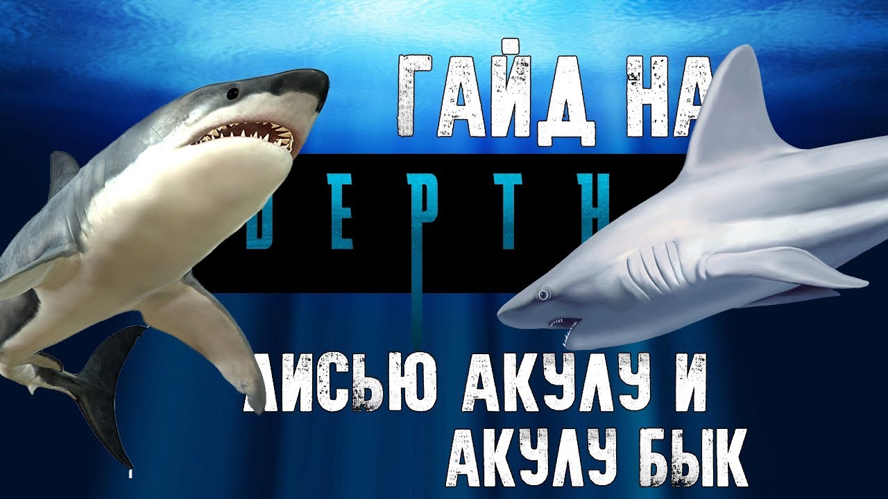 Depth гайд на лисью акулу и акулу бык