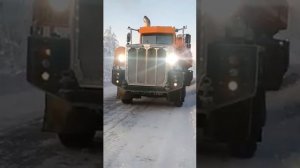 Якутия овце бык ?✌️