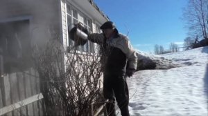 Обливаем кусты смородины и крыжовника горячей водой.  Профилактика и защита от болезней и вредителе