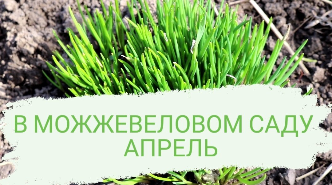 Как работают детские сады в апреле 2025