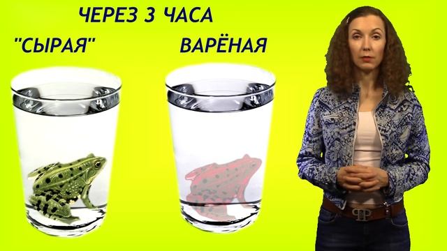 Маленький искусственный удав