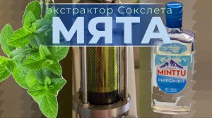 Минту из Мяты на экстракторе Сокслета