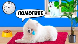 ШАНЕЛЬКА УМИРАЕТ!!!? ВАСИЛИСА СПАСАЕТ ПОДРУГУ!.mp4