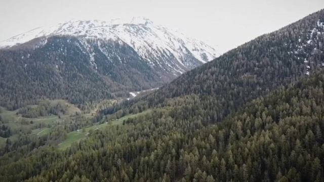 Астрологический прогноз для Водолеев на февраль 2023 года