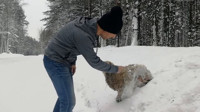 6 февраля 2021 г. смотреть онлайн