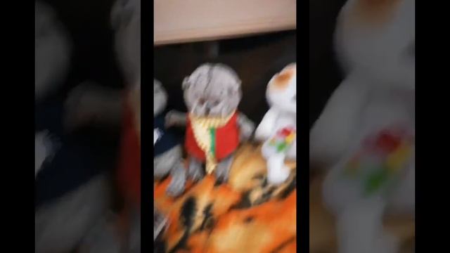 И снова пополнение!!! Нового Басика зовут Барсик, ему 7 лет, и он родился 4 января 2015 года))) смотреть онлайн