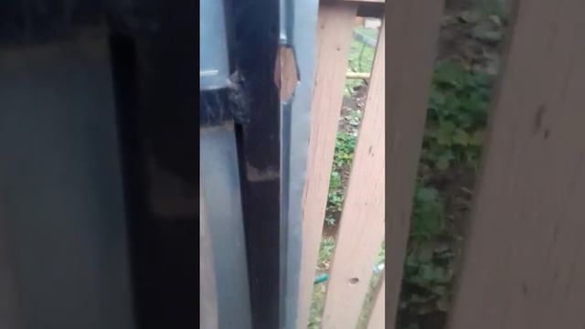 Мини влог#рекомендации#лошади#тяжеловозы#конныйспорт#конь#Граф#Принц#horse#рек#schorts #КоньTV смотреть онлайн