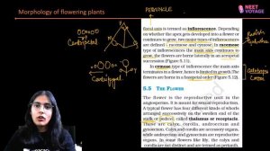 NCERT Reading | Morphology Of Flowering Plants | Botany | Target 2020 | NEET Voyage | Komal Yadav