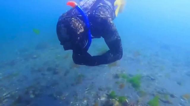 Собираем гребешок после зимы Буссе 2020 смотреть онлайн