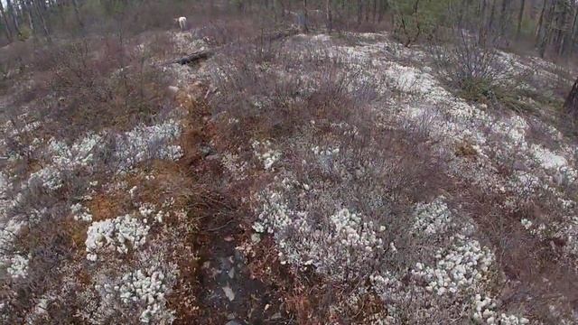 24 Поселок Б.Хатыми. р. Б.Хатыми. Слияние, обследуем территорию 1. смотреть онлайн