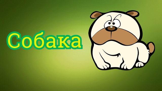 Назви тварин в картинках. Відео про тварин для дітей українською мовою. смотреть онлайн