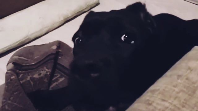 Цитата из кинофильма ⠀ смотреть онлайн