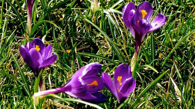 over 180 Random pictures смотреть онлайн