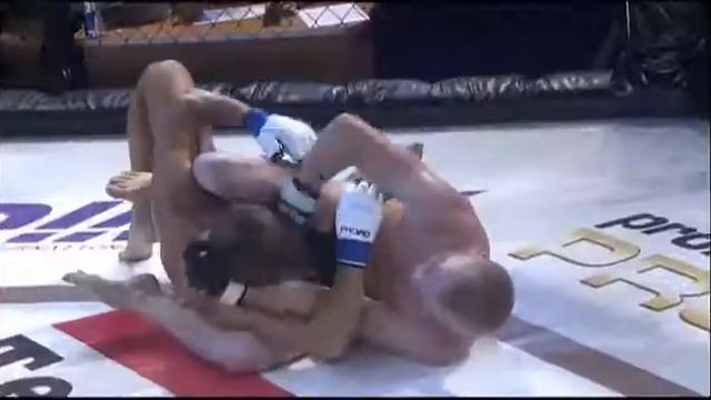 PROFC 50 с анонсом пресс-конференции смотреть онлайн