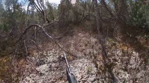 Охота на медведя, весна 2023