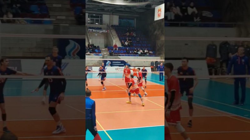 Розыгрыш 11 тура #sport #спорт #volleyball #sportshort #volleyballhighlights